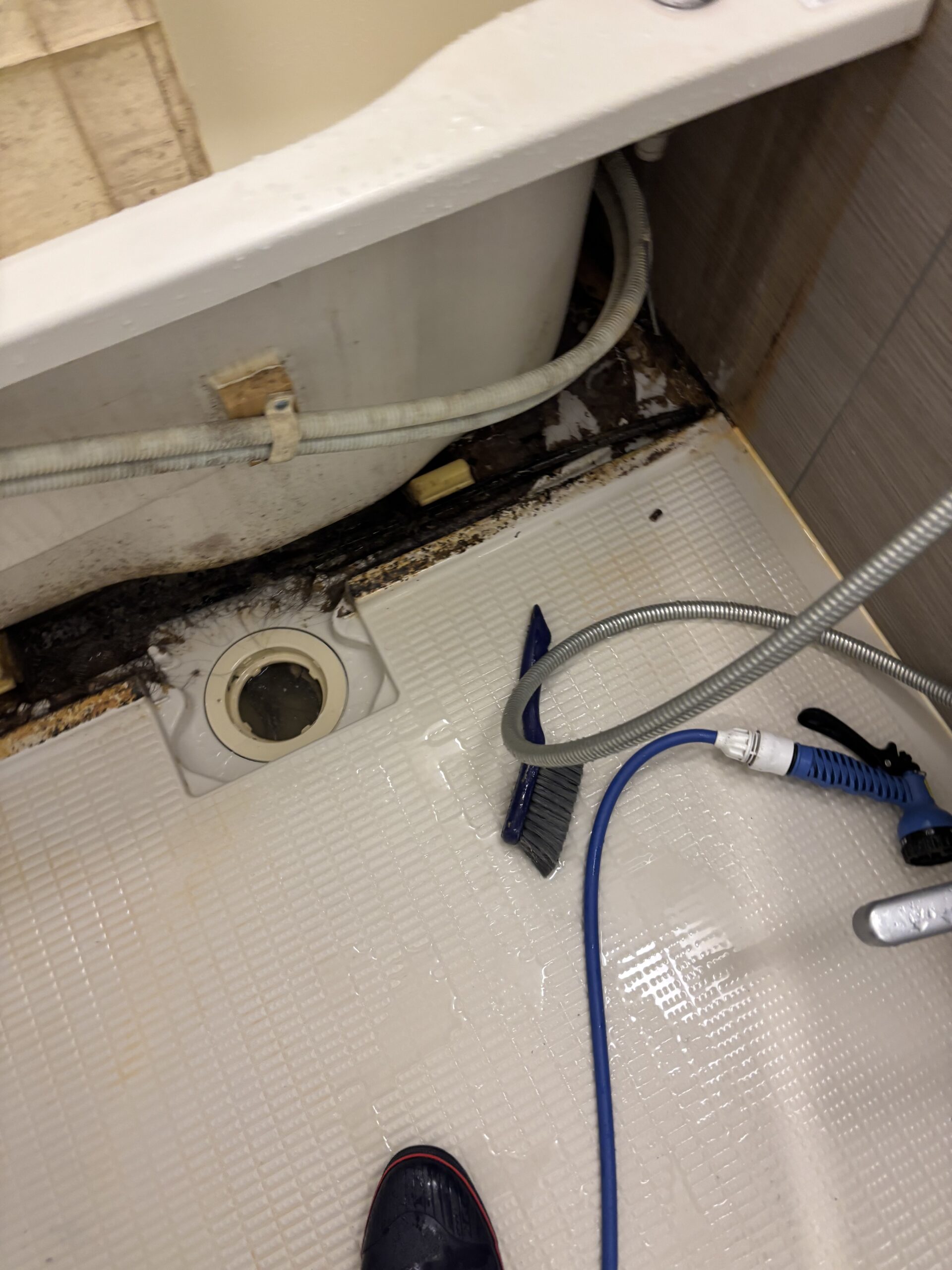 清掃前の浴槽エプロン内。カバーを外すと浴槽の下側や床面に黒っぽい汚れが見える