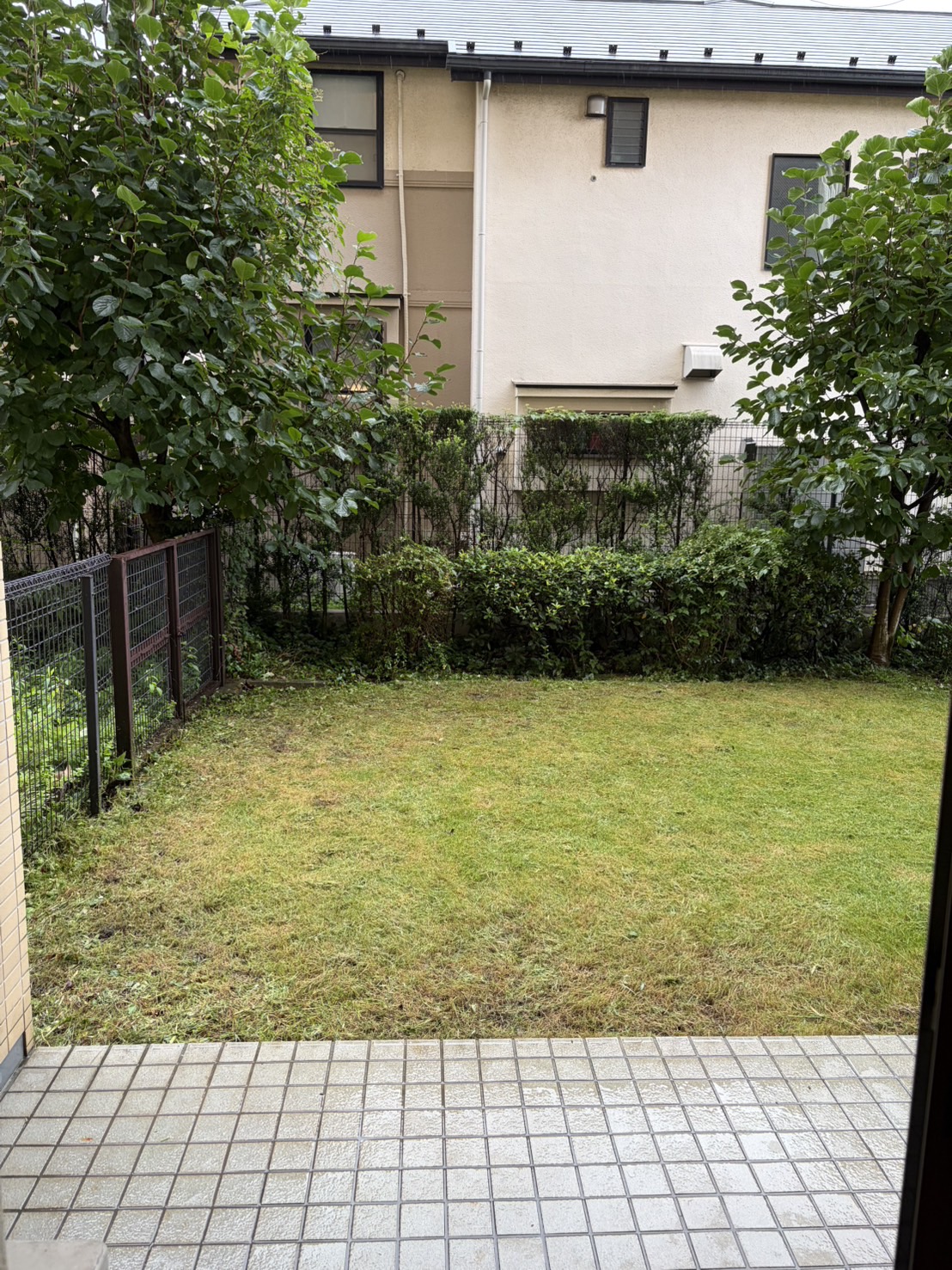 作業後：伸びていた草を取り除き、庭の足元が見渡せるようになりました。