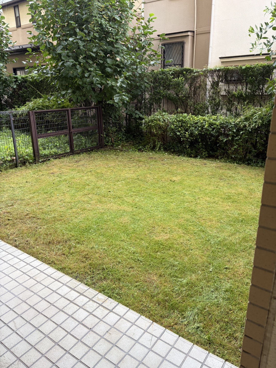 作業後：同じ側の庭を撮影。伸びた草がなくなり、足元が整いました。
