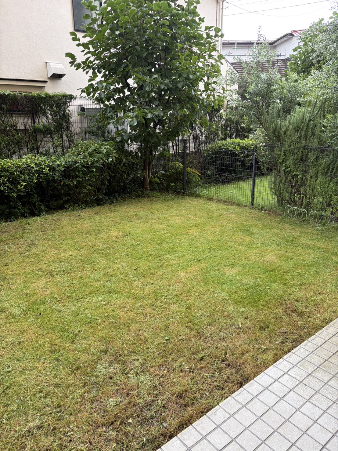 作業後：反対側も除草し、庭の広がりが分かる状態になりました。